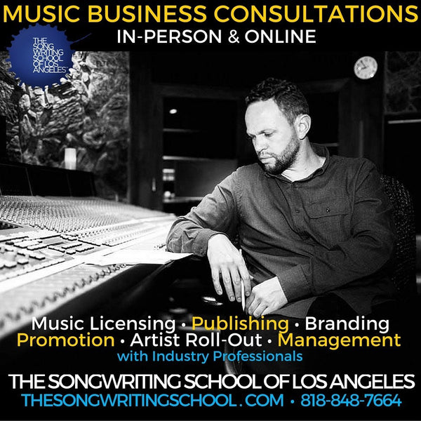Music Business Lessons & Private Consultations
